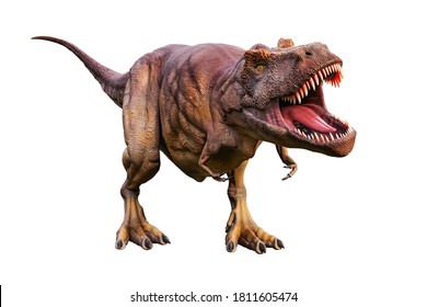 Tyrannosaurus Rex Or T_Rex Scientifc And Realistic Reconstitution Isolated On A White Background. 3D Rendering Illustration Of The King Of Dinosaurs.