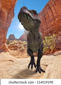 Tyranosaurus Rex On The Rocks