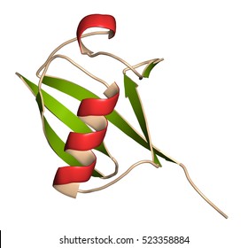 Ubiquitin protein molecule, 3D rendering. Ubiquitin is a molecular tag that indicates proteins marked for recycling. Cartoon representation, secondary structure coloring (green sheets, red helices).
