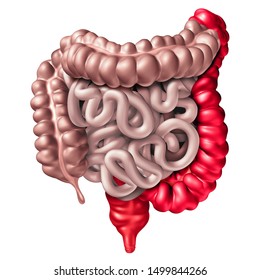 5,015 Colitis Images, Stock Photos & Vectors | Shutterstock