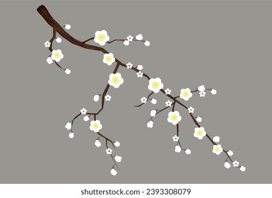 Ume Japanese Pattern Spring Background