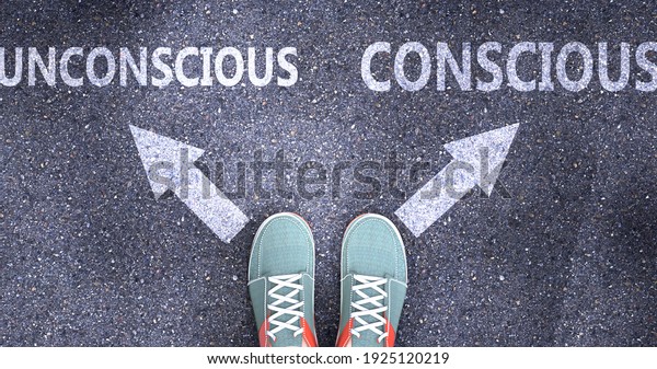 Unconscious and conscious as different\
choices in life - pictured as words Unconscious, conscious on a\
road to symbolize making decision and picking either one as an\
option, 3d\
illustration