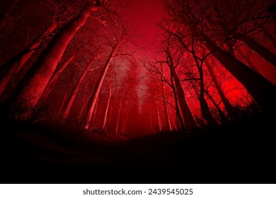 Under a night sky, an eerie forest bathes in a crimson glow, casting shadows that weave tales of suspense, mystery, and an ambient, haunting aura. - Powered by Shutterstock