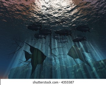 Underwater