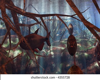 Underwater