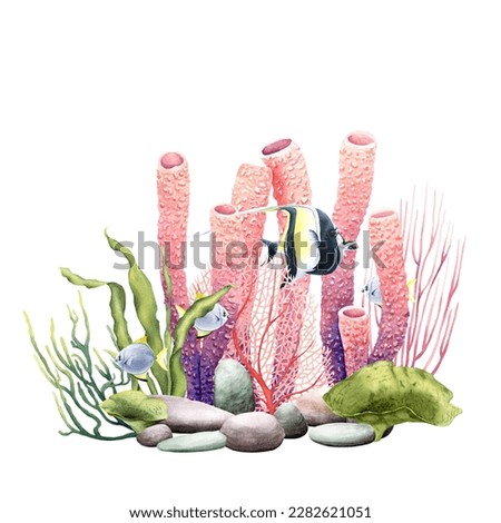 Underwater composition with coral reef plants and fishes. Watercolor illustration isolated on white for clip art, cards