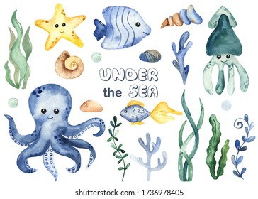 Underwater creatures squid, octopus, starfish, corals, algae, shells. Watercolor hand drawn clipart