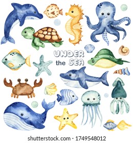 Underwater Creatures, Whale, Octopus, Shark, Crab, Dolphin, Sea Turtle, Fish. Watercolor Hand Drawn Clipart