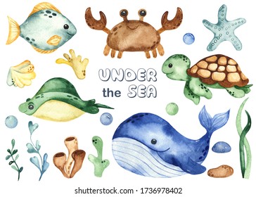 Underwater creatures whale, sea turtle, crab, stingray, starfish, algae, corals. Watercolor hand drawn clipart