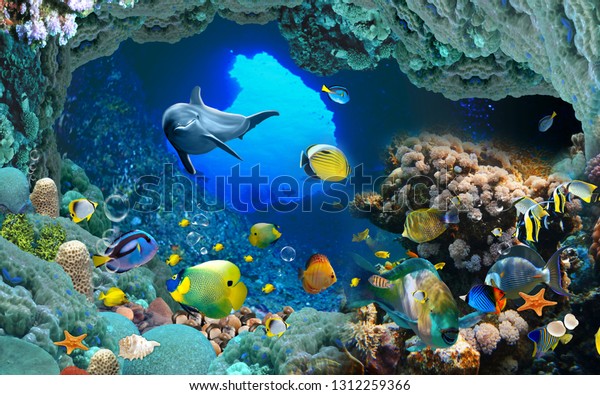 Underwater fish Aquarium illustration background 