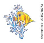 Underwater inhabitants Tropical yellow fish and coral reef Hand drawn illustration isolated on white background Chelmon rostratus Copperband butterflyfish Drawing Tattoo Design Art
