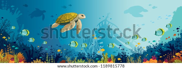 水中のパノラマ海洋生物 ベクター画像自然イラスト 青い海の上に 漫画のウミガメ 魚のいるサンゴ礁 沈没船のシルエット のイラスト素材