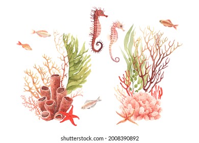 Underwater wildlife, watercolor colorful set decors of green seaweeds Undaria and Macrocystis, coral reef, seahorses, starfishes and fishes, design collection sea elements, animals, plants and polyp.