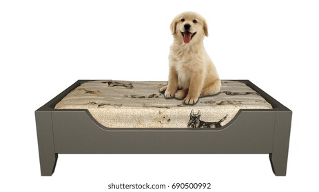 Unique Pet's Bed isolated on a white studio background. /Cat's Bed/  Dog's Bed/

3D Rendering