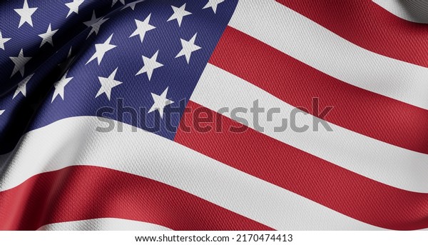 United States Government Presidential\
Election, Voting, Flag 3d\
Illustration