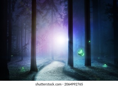 Nocturnal の画像 写真素材 ベクター画像 Shutterstock