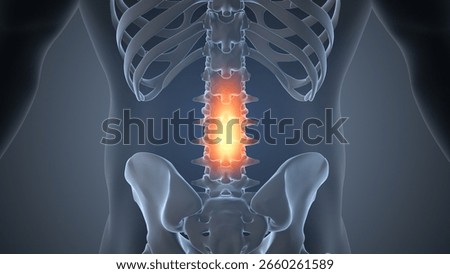 Upper to Lower Back Spinal Cramp Pain 3D Illustration
