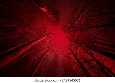 An upward gaze into a dense, eerie forest canopy, where stark tree silhouettes clash with the crimson hue of the sky, radiating an otherworldly and haunting vibe. - Powered by Shutterstock