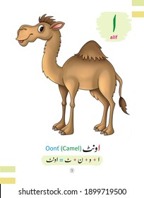 urdu alphabet alif with picture of camel
