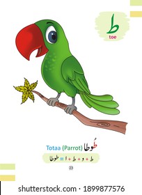 420 Urdu alphabet Stock Illustrations, Images & Vectors | Shutterstock