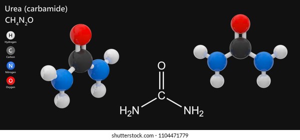 Glycine Molecular Formula C2h5no2 Found Primarily Stock Illustration ...