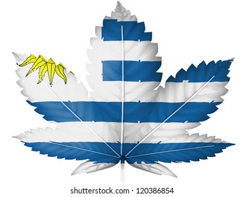  Uruguay Flag Painted On Cannabis Or Marijuana Leaf