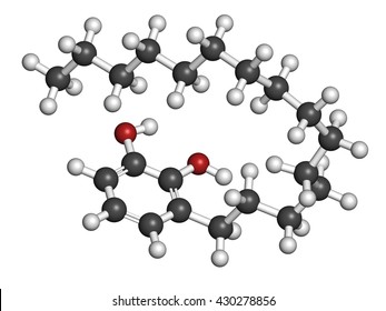 Urushiol Poison Ivy Allergen Molecule. Also Present In Poison Oak, Lacquer Tree And Poison Sumac. Urushiol Is A Mixture Of Closely Related Components, Only One Of Which Is Shown. 3D Rendering. 