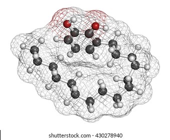 Urushiol Poison Ivy Allergen Molecule. Also Present In Poison Oak, Lacquer Tree And Poison Sumac. Urushiol Is A Mixture Of Closely Related Components, Only One Of Which Is Shown. 3D Rendering. 