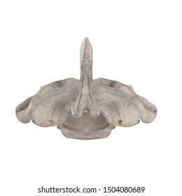 With using of our cutting edge human 3D model