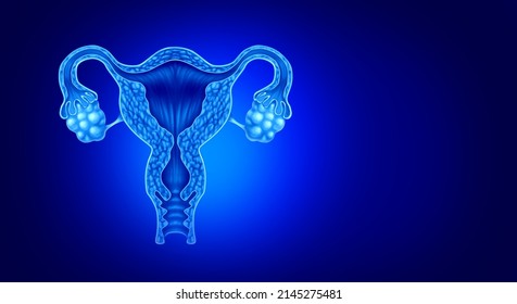 Uterus And Ovaries Anatomy Concept Of Female Fertility Or Infertility With Fallopian Tubes With 3D Illustration Elements.