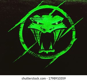 uttarakhand, India-2 june 2020:snake,cobra snake logo. green logo on black background. illustration of snake logo. 