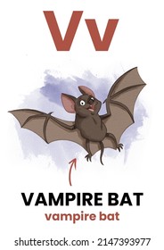 V Letter Animal Flashcard Vampire Bat Stock Illustration 2147393977 ...