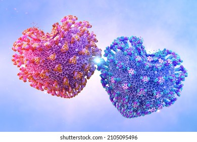 Valentine Day two coronavirus covid-19 hearts. Mutation virus cells 3D Valentine's day illustration. Corona virus 2019-ncov strains, mutated omicron, delta variants, coronavirus SARS-CoV-2 flu disease