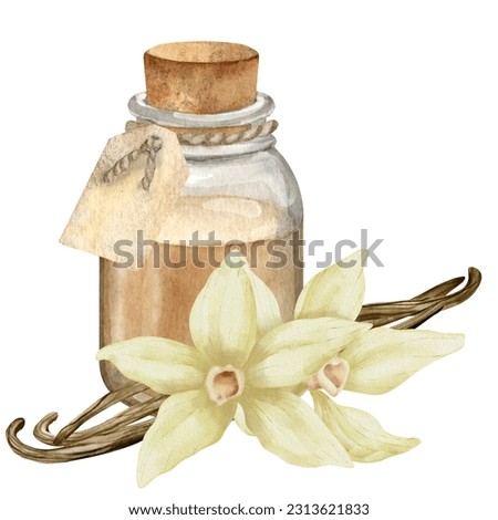 Vanilla Essential Oil with flowers and sticks. Hand drawn watercolor illustration of vintage transparent Bottle for aroma therapy on white isolated background. Retro flacon for cosmetic flavor.