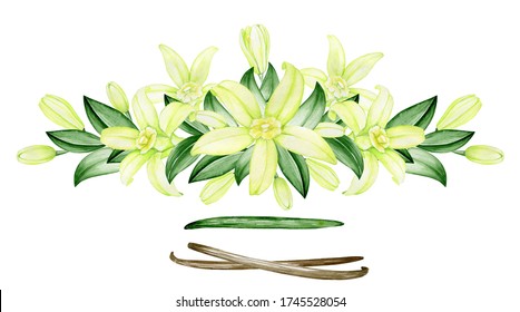 Vanilla Flower Bouquet, For Wedding Invitation, Cafes And Restaurants. Watercolor Flowers Of Vanilla Orchid, On An Isolated Background.