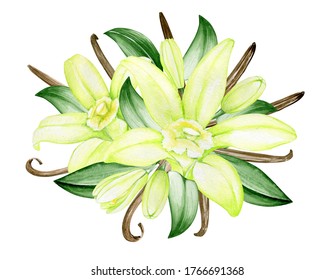 Vanilla Flower Bouquet, For Wedding Invitation, Cafes And Restaurants. Watercolor Flowers Of Vanilla Orchid, On An Isolated Background.