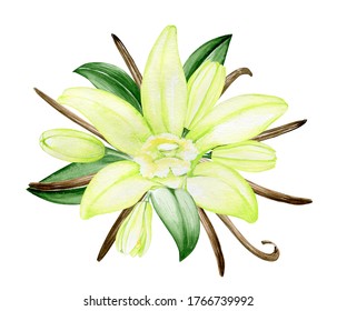 Vanilla Flower Bouquet, For Wedding Invitation, Cafes And Restaurants. Watercolor Flowers Of Vanilla Orchid, On An Isolated Background.