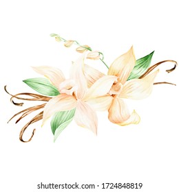 Vanilla Orchid Flower Clipart For Tropical Wedding. Vanilla Yellow Flowers Watercolor Clipart. Vanilla Orchid Flowers  With Beans Illustration 