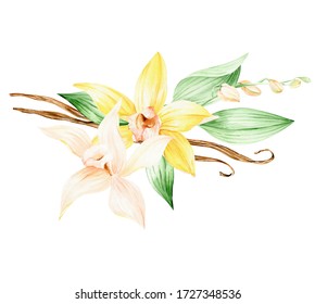 Vanilla Orchid Flower Clipart For Tropical Wedding. Vanilla Yellow Flowers Watercolor Clipart. Vanilla Orchid Flowers  With Beans Illustration 