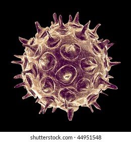 Varicella Zoster Virus