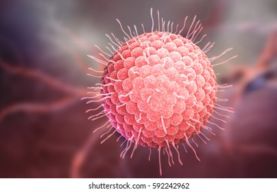 Varicella zoster virus or varicella-zoster virus (VZV) is one of eight herpesviruses known to infect humans and vertebrates. 3D illustration