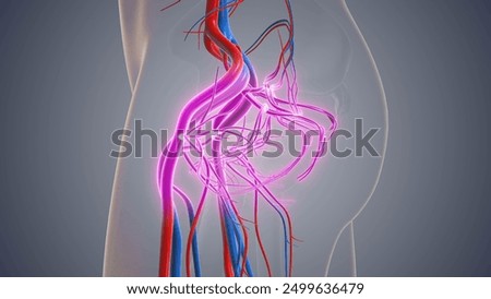 Similar – Image, Stock Photo Painful varicose and spider veins on womans legs, who is active at home. Two active seniors in the background. Vascular disease, varicose veins problems, active life concept.