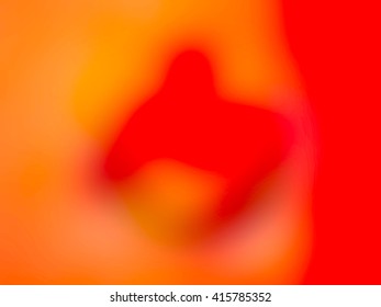 The variocolored blurred background and texture.
