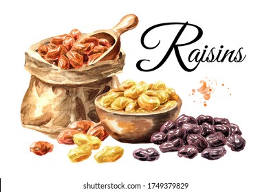 Various Raisins Card. Hand Drawn Watercolor Illustration Isolated On White Background