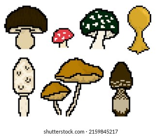 Various Types Pixel Art Mushrooms Use Stock Illustration 2159845217 ...