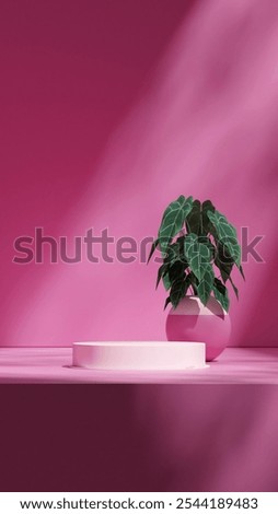 vase backdrop, 3d render image blank space pink color curved cylinder podium in portrait