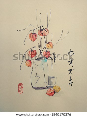 Vase with bouquet fruit decorative physalis. Traditional Japanese ink painting sumi-e on vintage paper. Illustration. Contains hieroglyph - Physalis. Meaning of a seal - fire flower.
