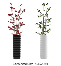 Vase With Flower Plant Isolated