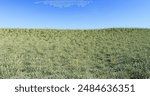 Vast grassland and blue sky. Fresh greens in spring. 3D rendering.