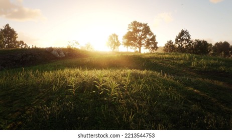 Vast Grassland The Sun Is Leaving The Horizon 3D Rendering